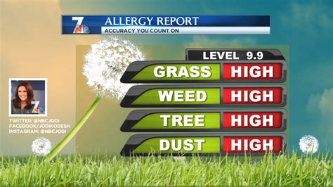 allergy alerts weather|what pollen is high today.